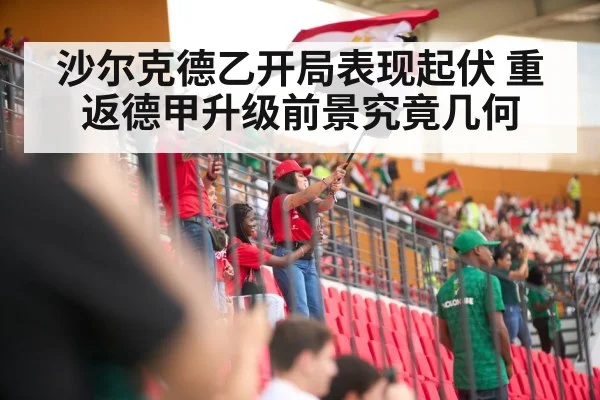 沙尔克德乙开局表现起伏 重返德甲升级前景究竟几何