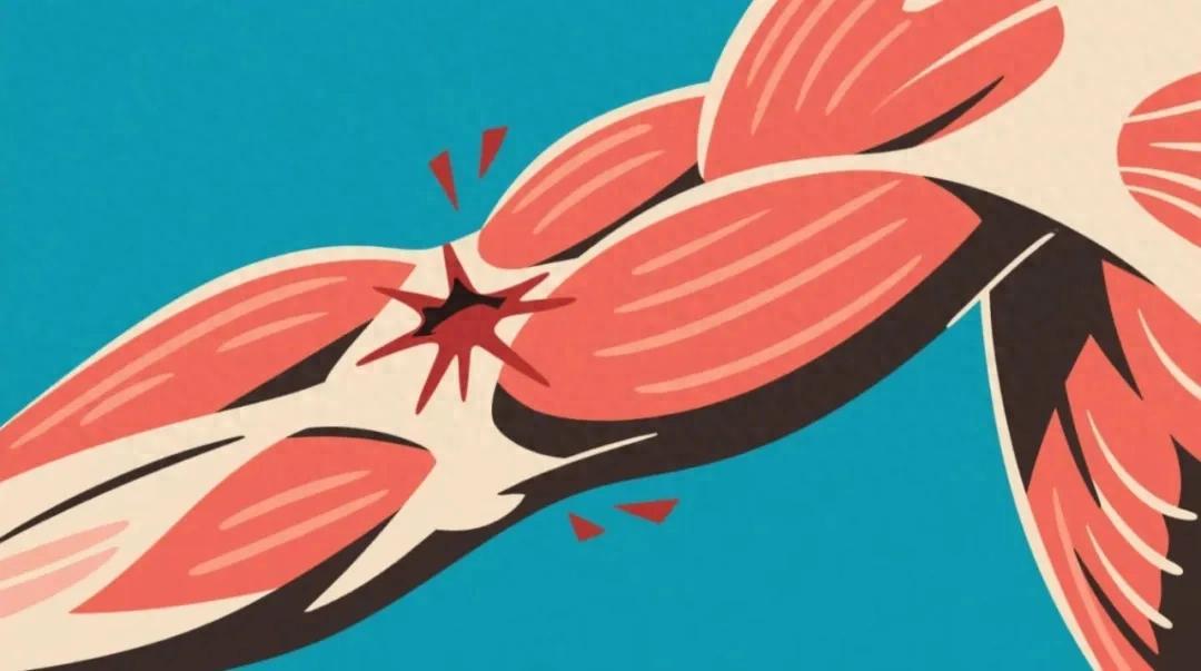 九游娱乐下载-警惕！小心这些药正在“溶解”你的肌肉